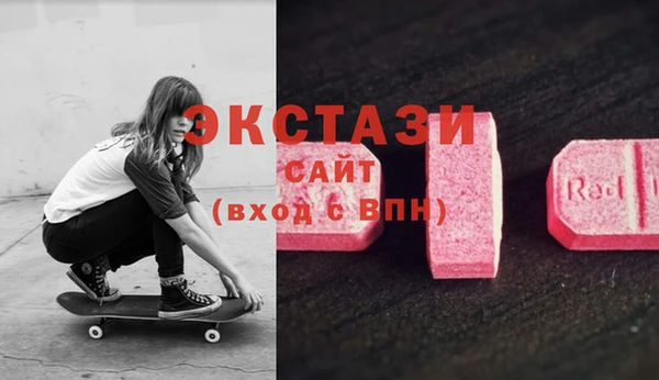 молекула духа Арсеньев