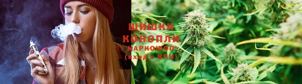 бошки Аркадак