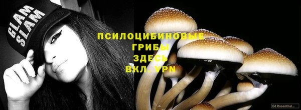 a pvp Армянск
