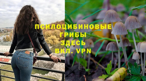 бошки Аркадак