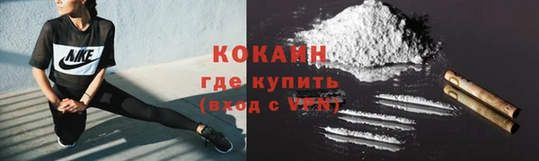 молекула духа Арсеньев