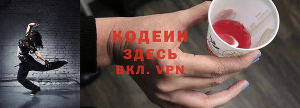 молекула духа Арсеньев