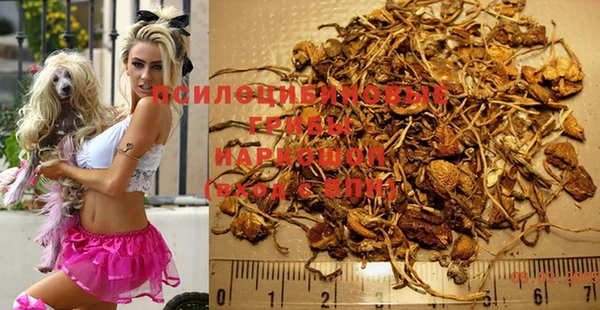 бошки Аркадак