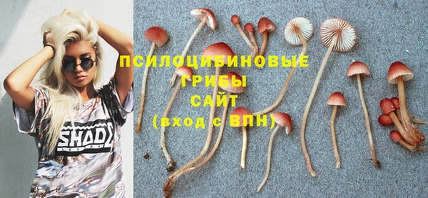 2c-b Белоозёрский