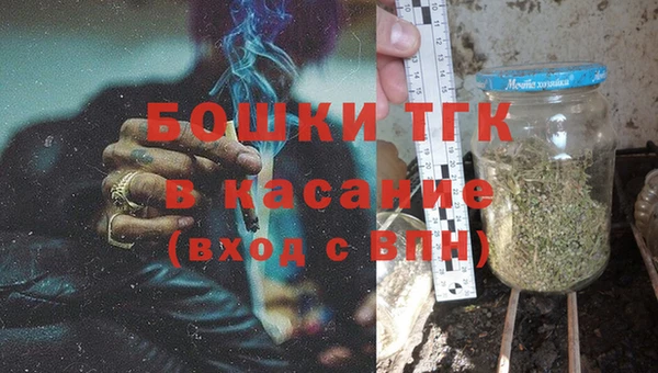 молекула духа Арсеньев
